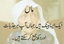 Urdu Quote