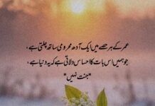 SAD QUOTES IN URDU