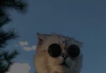 FUNNY QUOTES IN URDU